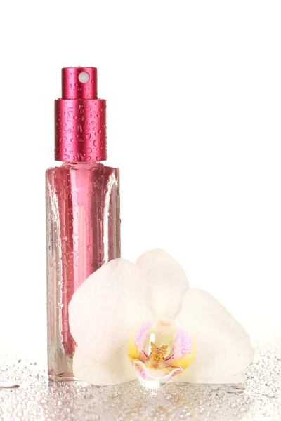 Frauenparfüm in schöner Flasche und Orchideenblüte, isoliert auf weiß — Stockfoto