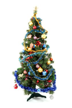 Beyaz üzerine izole edilmiş Noel Ağacı