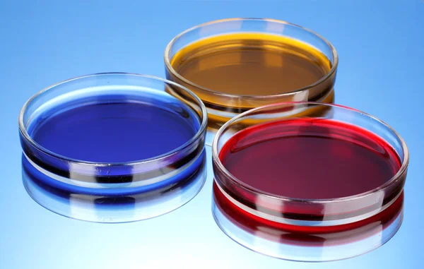 Color liquid in petri dishes on blue background — Stock Photo, Image