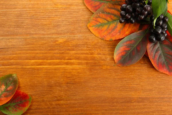 Bright autumn leaves and wild berries, on wooden background — Stock Photo, Image