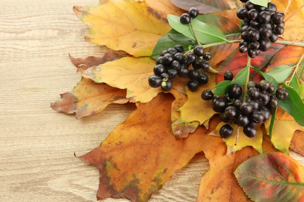 Heldere herfstbladeren en wilde bessen, op houten achtergrond — Stockfoto