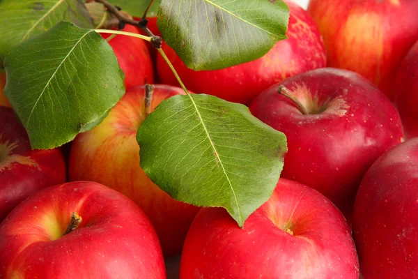 Juicy red apples with green leaves, close up — Stock Photo, Image