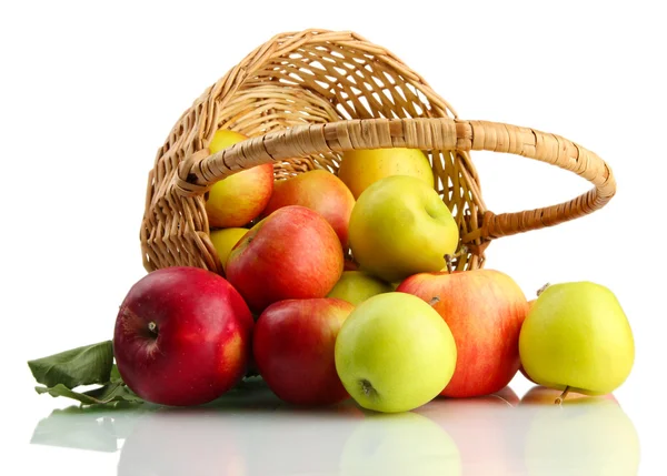Juicy apples with green leaves in basket, isolated on white — Stock Photo, Image