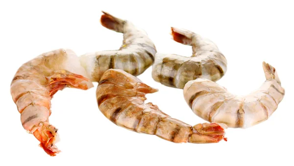 孤立在白色的虾 — 图库照片