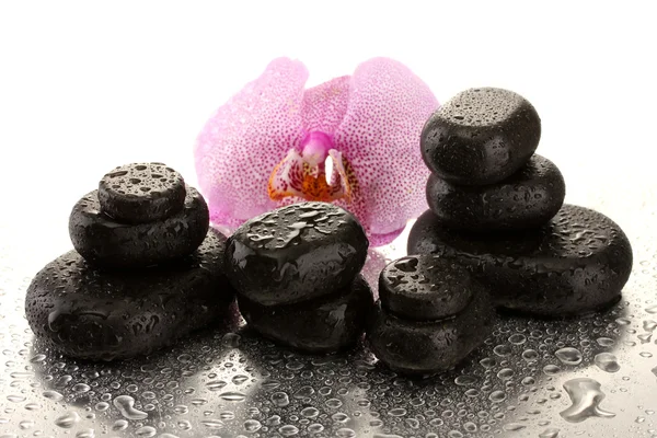 Piedras de spa y flor de orquídea, sobre fondo húmedo — Foto de Stock