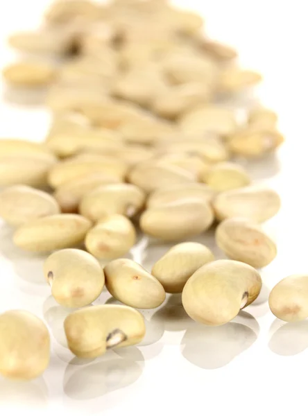 Sypané bílé fazole izolovaných na bílém — Stock fotografie
