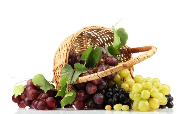 Assortment of ripe sweet grapes in basket, isolated on white — Stock Photo, Image