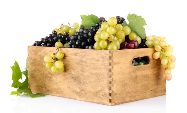 Assortment of ripe sweet grapes in wooden crate, isolated on white — Stock Photo, Image