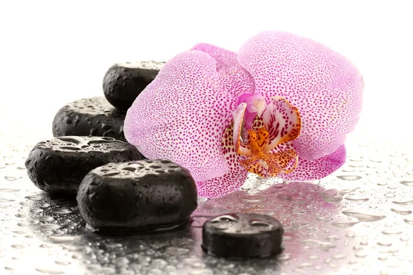 Piedras de spa y flor de orquídea, aisladas en blanco —  Fotos de Stock