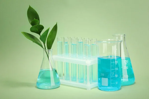 Zweig mit grünen Blättern im Reagenzglas auf grünem Hintergrund — Stockfoto