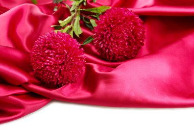 İpek zemin üzerine güzel aster çiçekler