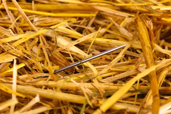 Иголка в стоге сена крупным планом — стоковое фото