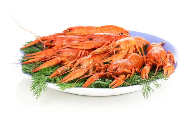 Crayfishes 흰색 절연 판에 회 향을 삶은 맛 있는 — 스톡 사진