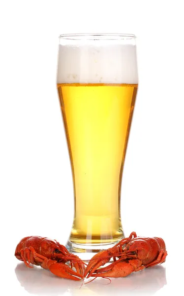 Gustosi gamberi bolliti e birra isolata su bianco — Foto Stock