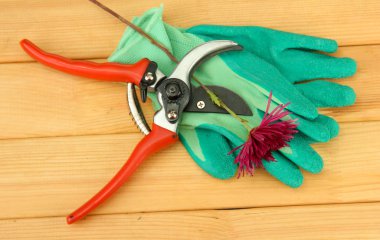 secateurs ahşap zemin çiçek