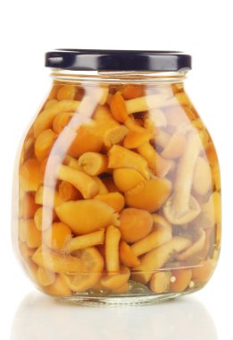 banka üzerinde beyaz izole lezzetli Marine mantar