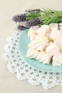 açık renkli renkli plaka üzerinde Marshmallows