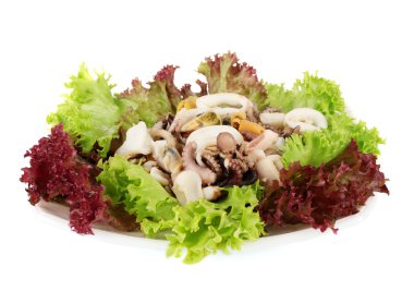 karides, ahtapot ve midye, mürekkep üzerinde beyaz izole sağlıklı deniz ürünleri salatası