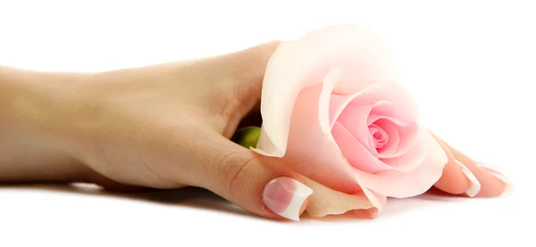 Hermosa mano de mujer con rosa, aislada en blanco — Foto de Stock