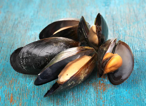 Mejillones con concha sobre mesa de madera azul — Foto de Stock