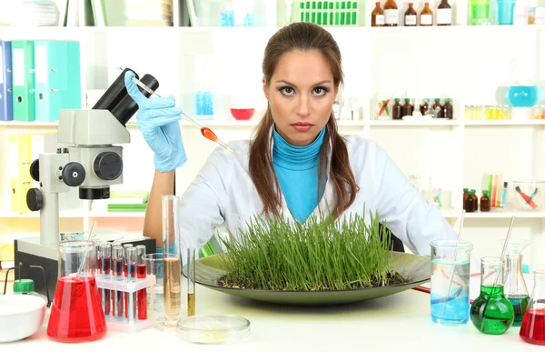 Mladá žena vědec provádí pokusy s rostlinami v laboratoři — Stock fotografie