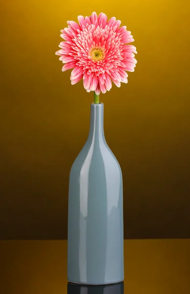 Beautiful gerbera in vase on yellow background — Stock Photo, Image