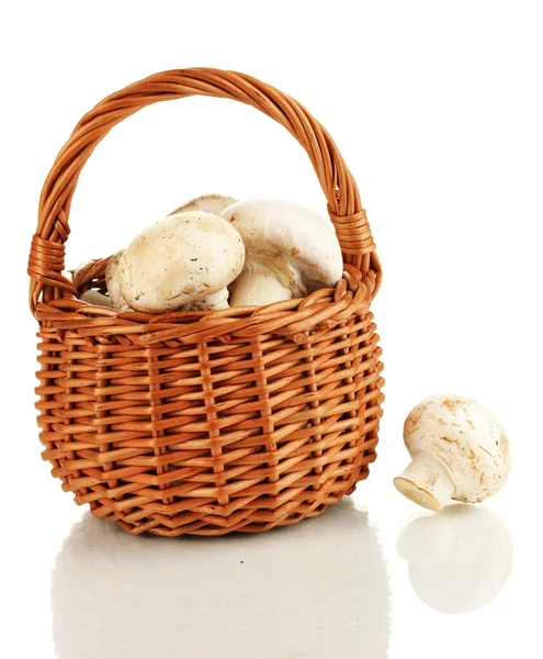 Cogumelos frescos em cesta isolados em branco — Fotografia de Stock