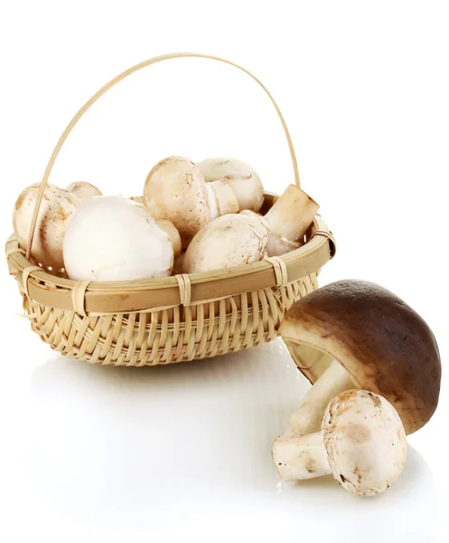 Fresh mushrooms in basket isolated on white — Stock Photo, Image