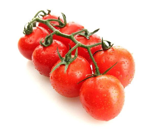 Tomates cerises sur une branche avec des gouttes isolées sur blanc — Photo