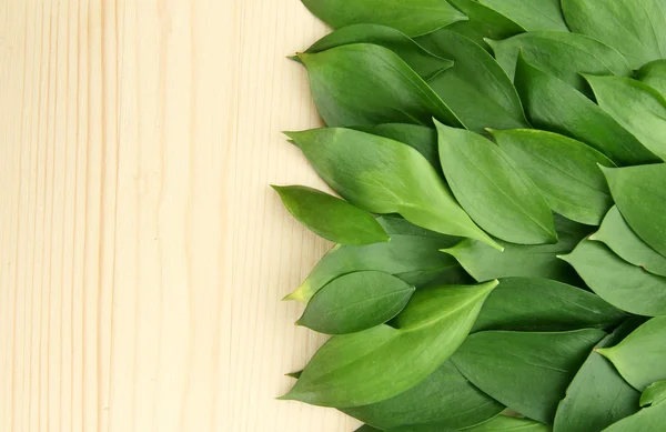 木製の背景に、美しい緑の葉 — ストック写真