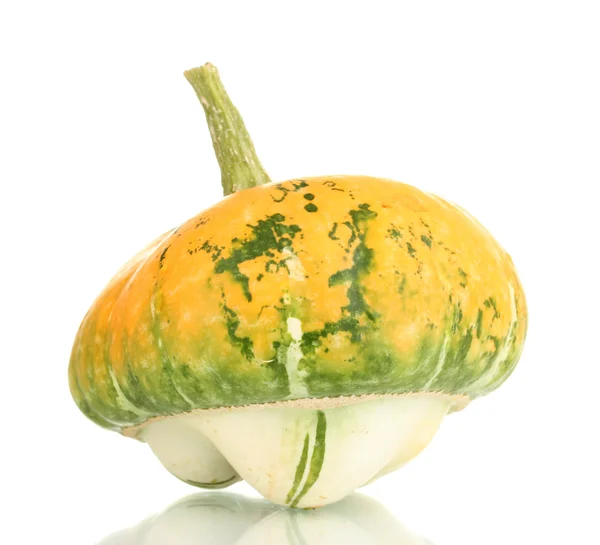 Pumpkin isolated on white — Stock Photo, Image