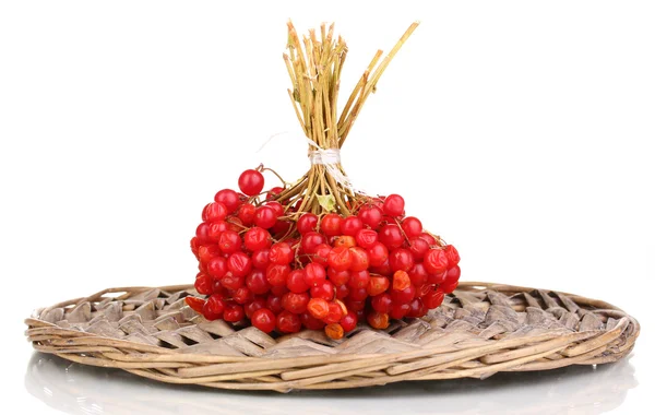 琼花柳条垫隔离白底上的红色浆果 — 图库照片