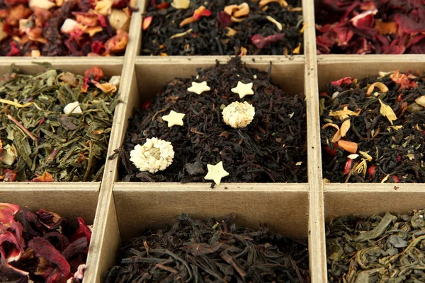 Assortment of dry tea in wooden box, close up — Stock Photo, Image