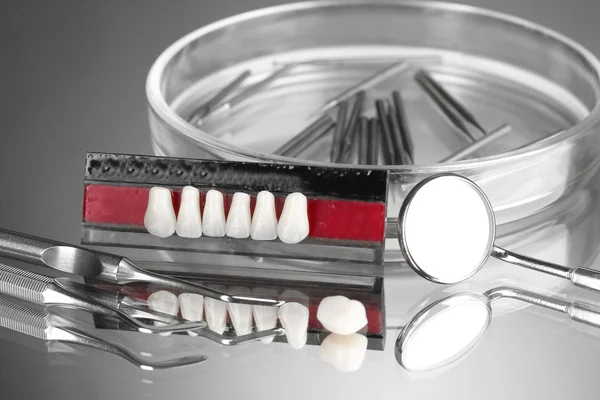 Conjunto de ferramentas dentárias com dentadura sobre fundo cinzento — Fotografia de Stock