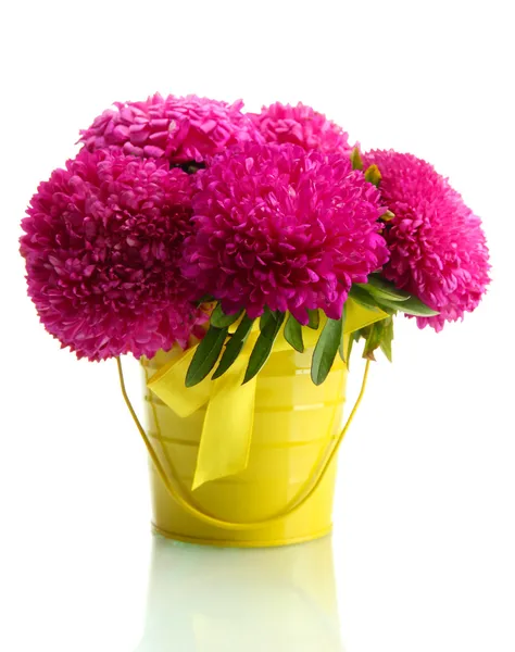 Pink aster flowers in pail, isolated on white — Stok Foto