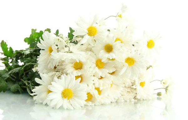 美丽的雏菊花束，孤立在白色 — 图库照片