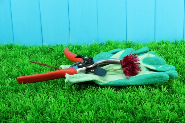 Gartenschere mit Blume auf Gras auf Zaun Hintergrund — Stockfoto