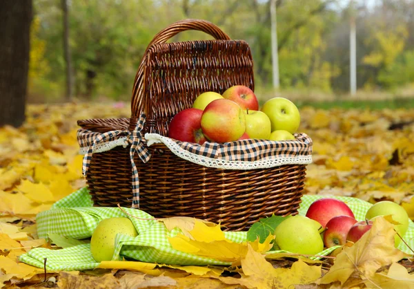 Cesta de manzanas frescas maduras en el jardín en hojas de otoño — Foto de Stock