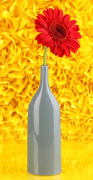 Hermosa gerbera en jarrón sobre fondo decorativo amarillo —  Fotos de Stock