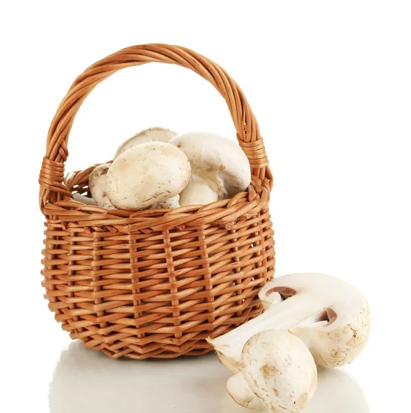 Verse champignons in mand geïsoleerd op wit — Stockfoto