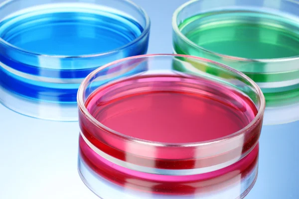Líquido de color en placas de Petri sobre fondo azul — Foto de Stock