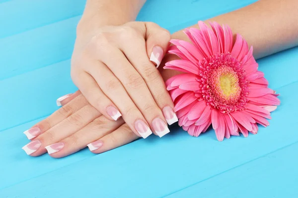 Frauenhände mit französischer Maniküre und Blume auf blauem Holzhintergrund — Stockfoto