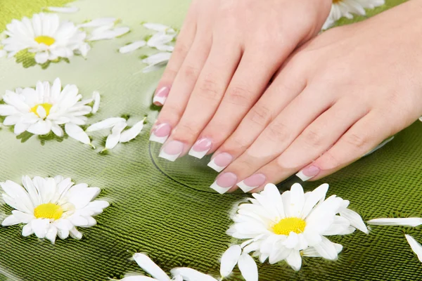 Manos de mujer con manicura francesa y flores en tazón verde con agua — Foto de Stock