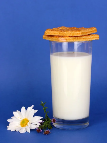 Vaso de leche fresca nueva con galletas sobre fondo azul —  Fotos de Stock