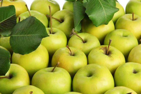 Pommes juteuses aux feuilles vertes, gros plan — Photo