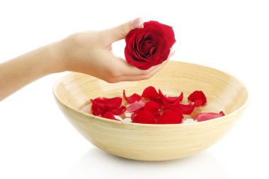 ahşap kase su yaprakları, üzerinde beyaz izole kadın eliyle