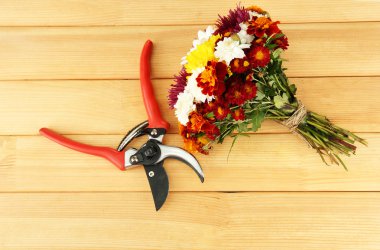 secateurs ahşap zemin üzerine çiçekli