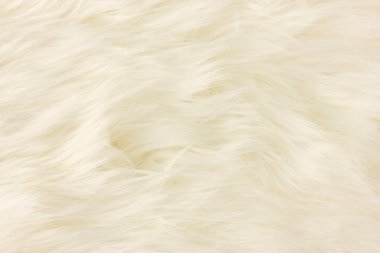 Beyaz kürk doku, yakın-arka plan olarak up.useful