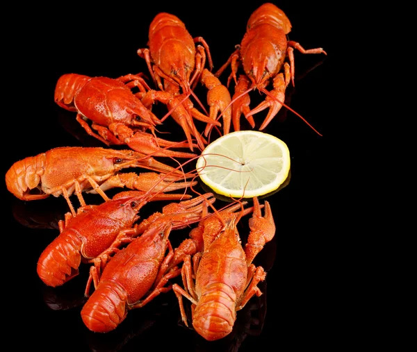 Lagostins cozidos saborosos isolados em preto — Fotografia de Stock