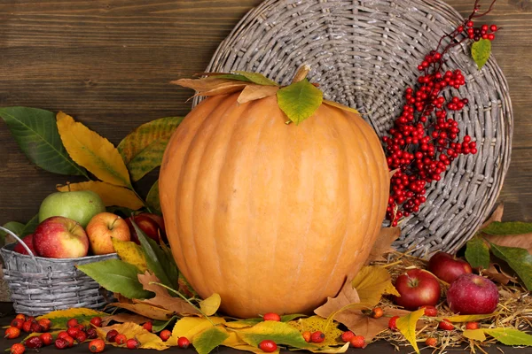 Excellent autumn still life with pumpkin on wooden table on wooden background — Stock Photo, Image